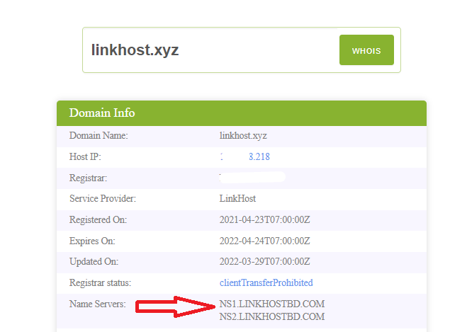 hosting nameserver check