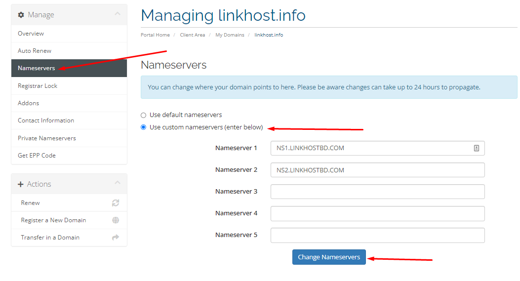 update domain nameserver